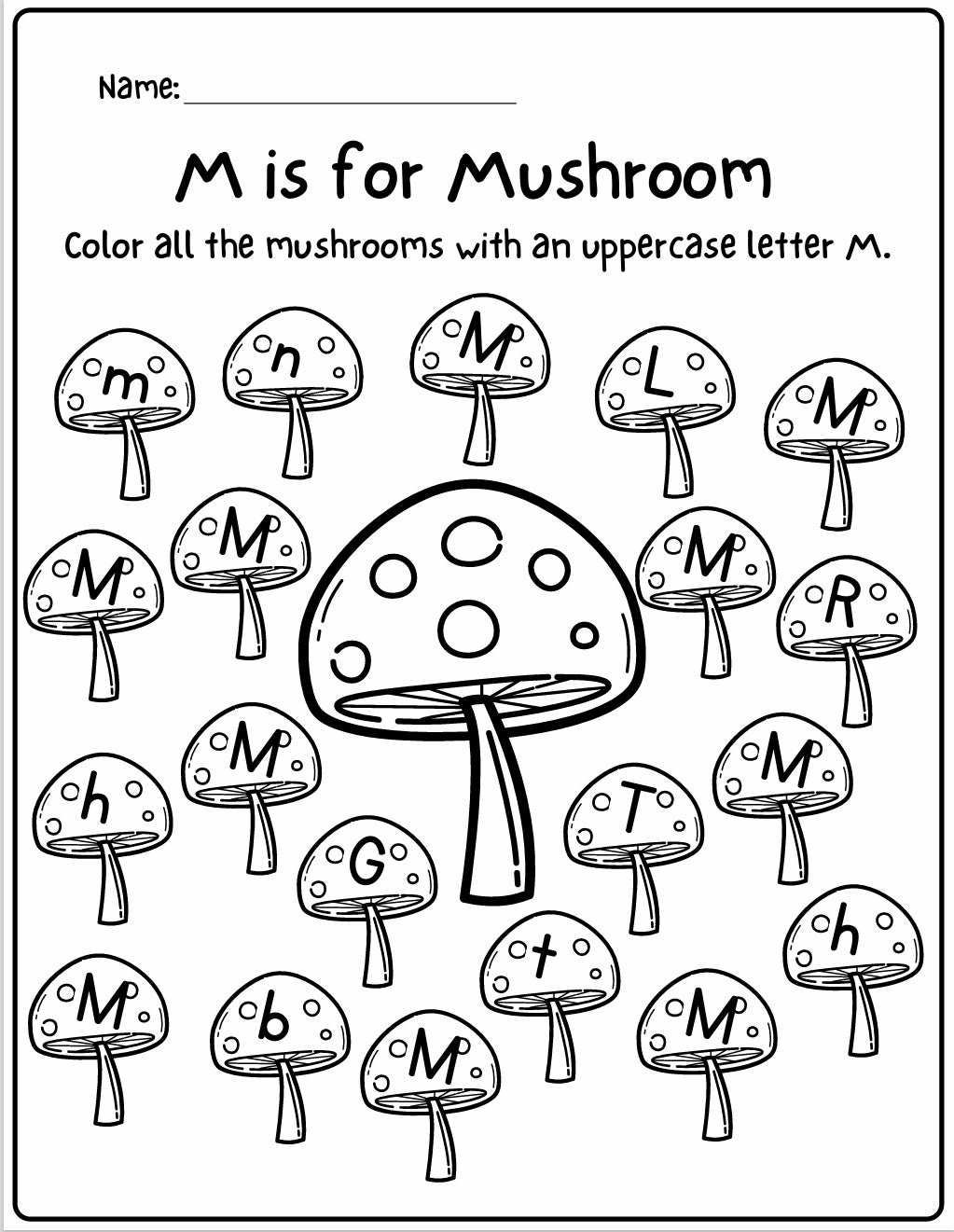 All in One Kids Bundle Pre-K to 3rd Grade